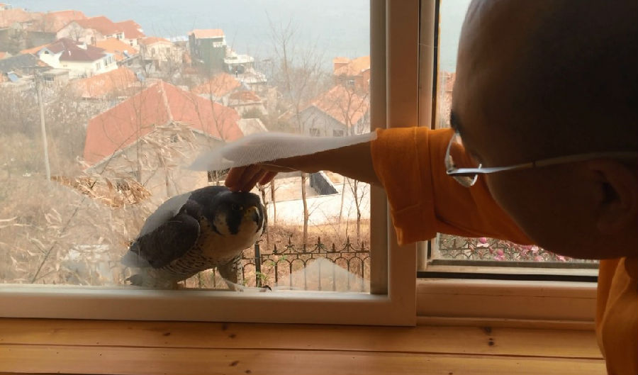 ѧšһĻھ̾ѵĳӥ
