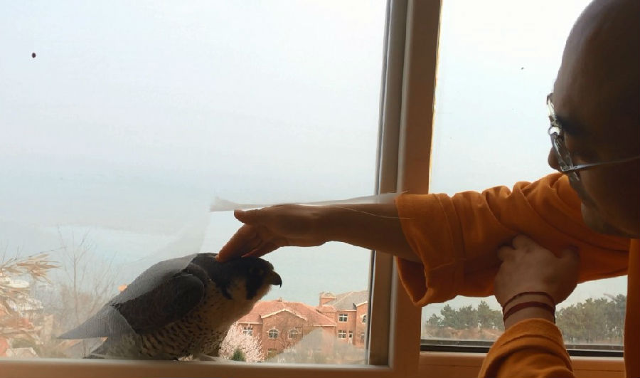 ѧšһĻھ̾ѵĳӥ